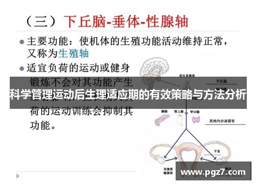 科学管理运动后生理适应期的有效策略与方法分析